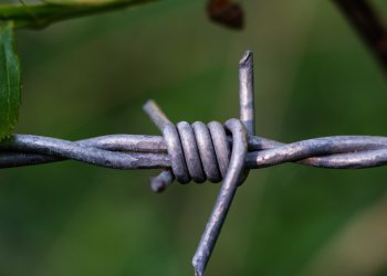 Dikenli Tel Sistemleri: Uygun Fiyatlı ve Etkili Güvenlik Çözümü
